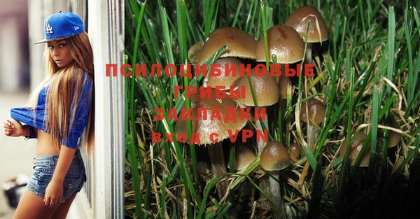 гидропоника Навашино