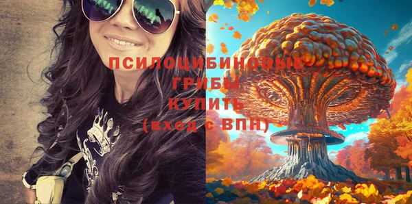 гидропоника Навашино