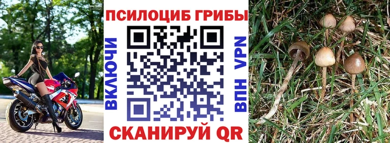 Галлюциногенные грибы MAGIC MUSHROOMS  Новое Девяткино 